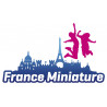  eTicket entrée France Miniature saison 2024