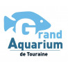  Billet combiné Enfant (4-12ans) : Aquarium Touraine + Parc Mini-Châteaux