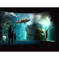 Tarif entrée Aquarium de la Rochelle pas cher à 15,50€