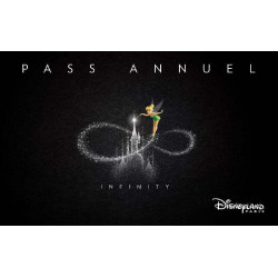 Passeport Infinity Disneyland 