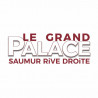  eTicket cinéma Le grand Palace Saumur valable jusqu'au 04 Juillet 2023