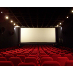 Place cinéma L'Empire Saint Dié des Vosges moins cher à 6,20€