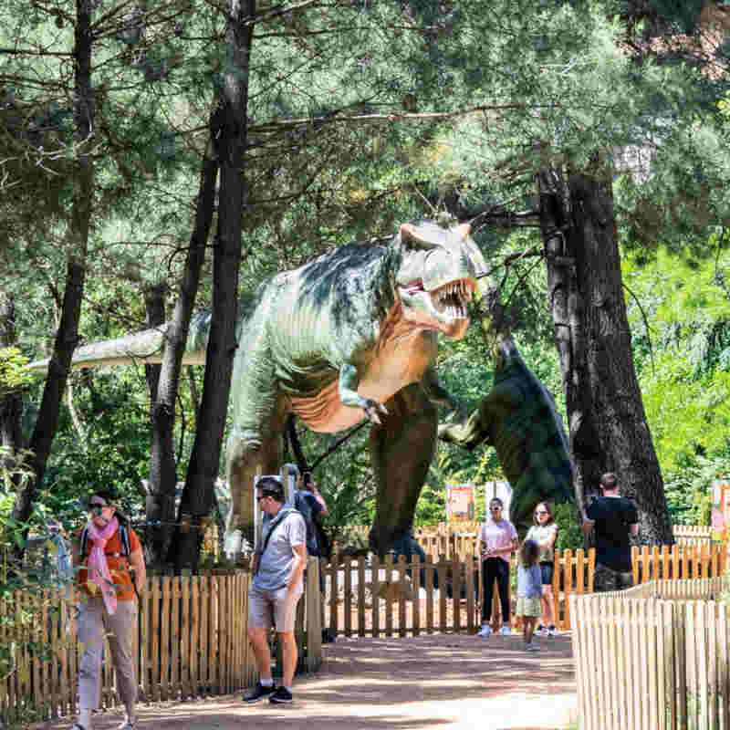 17,00€ Tarif Ticket Entrée Dinopedia Parc Moins Cher