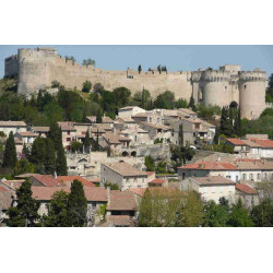 5,00€ ticket visite Fort Saint-André Villeneuve-lez-Avignon