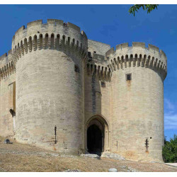 ticket Fort Saint-André Villeneuve-lez-Avignon moins cher à 5,00€ avec Accès CE