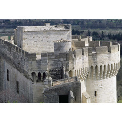 Visite Fort Saint-André Villeneuve-lez-Avignon moins cher à 5,00€ avec Accès CE