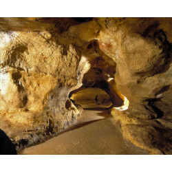 11,50€ ticket visite Grotte de Pair non Pair moins cher avec Accès CE