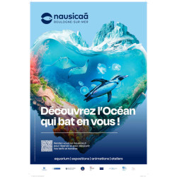 24,00€ Ticket entrée Nausicaa moins cher avec Accès CE